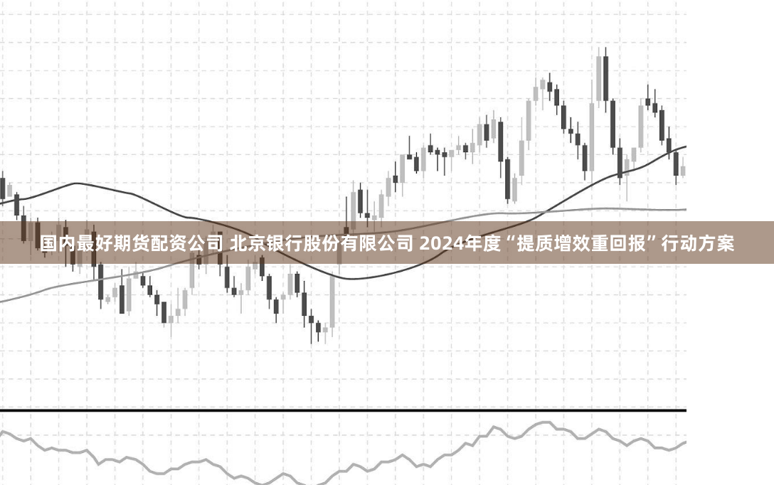 国内最好期货配资公司 北京银行股份有限公司 2024年度“提质增效重回报”行动方案