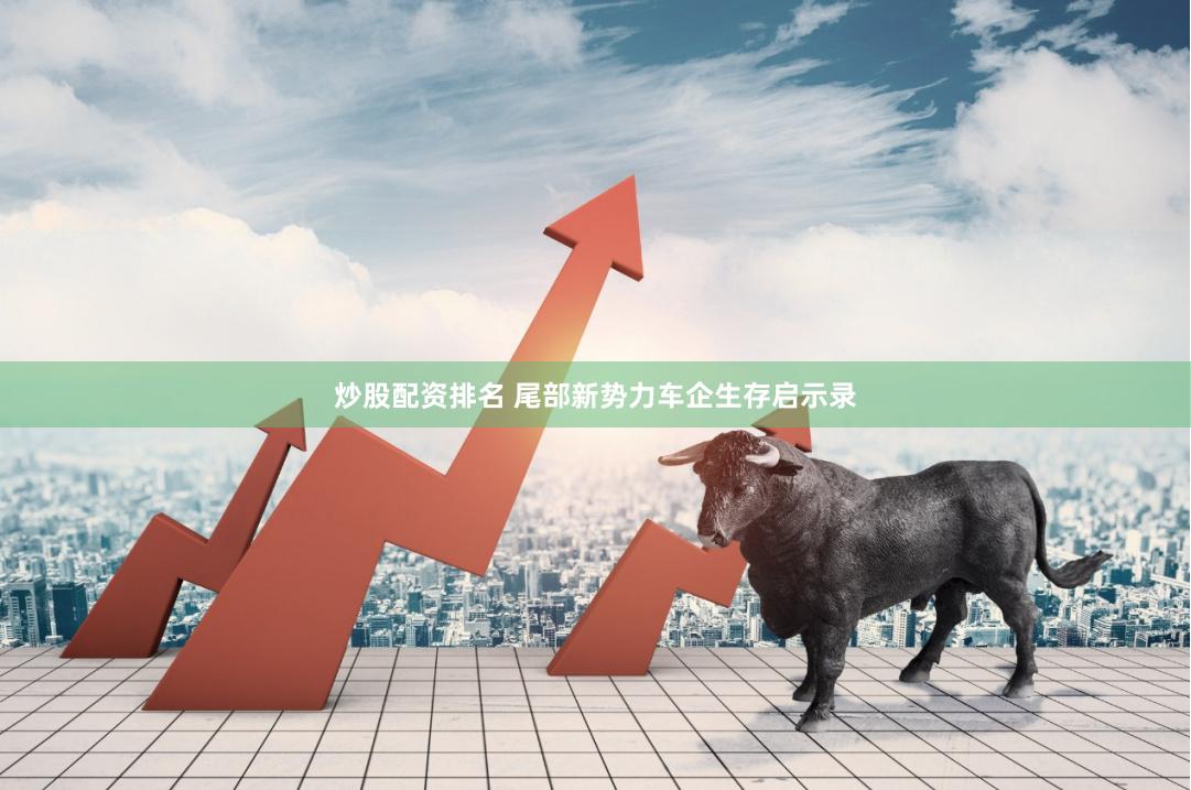 炒股配资排名 尾部新势力车企生存启示录