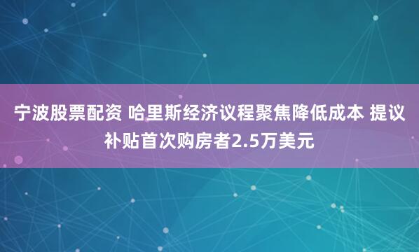 宁波股票配资 哈里斯经济议程聚焦降低成本 提议补贴首次购房者2.5万美元