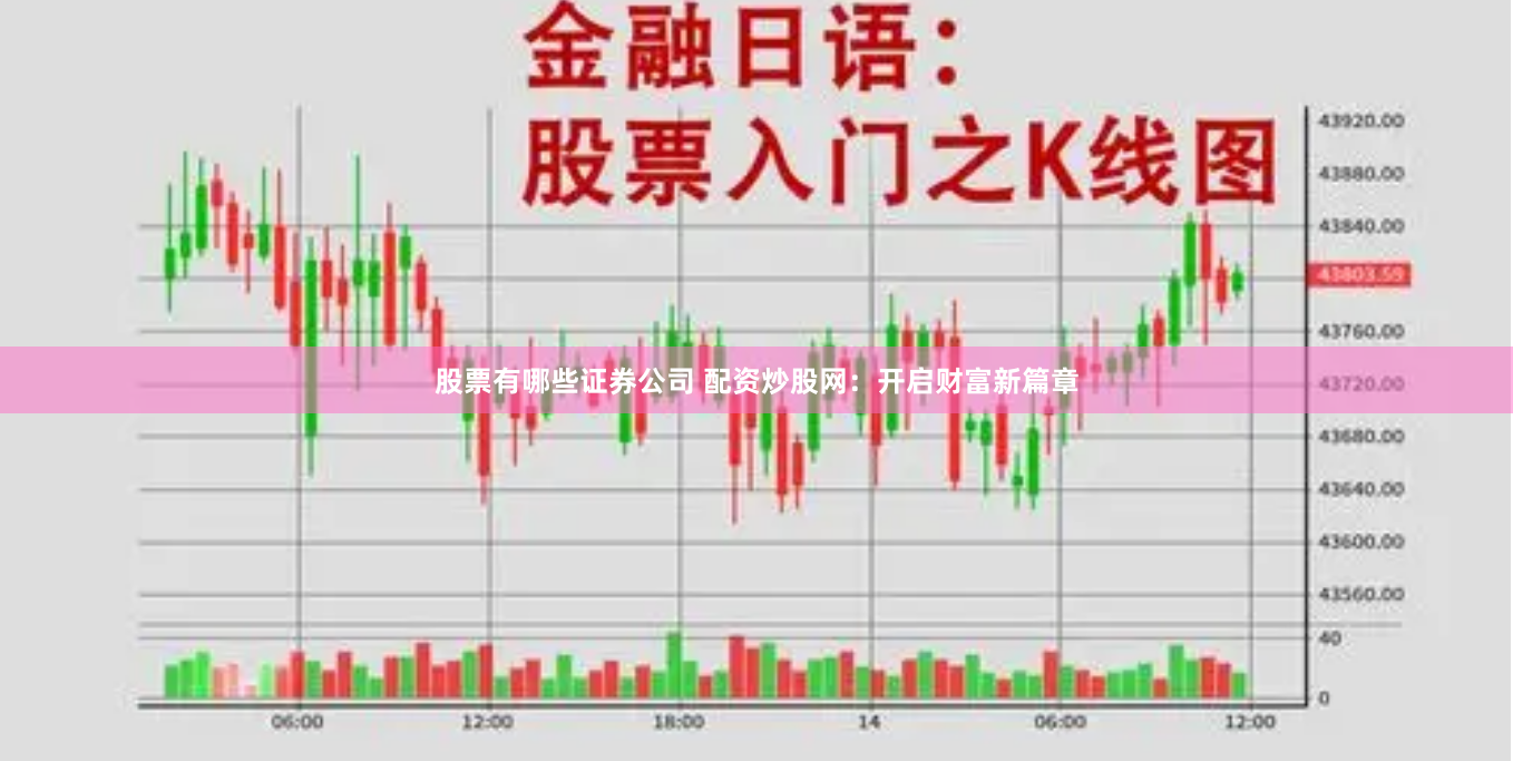 股票有哪些证券公司 配资炒股网:开启财富新篇章