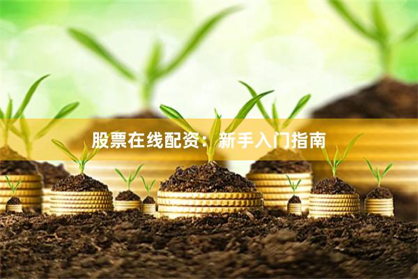 股票在线配资：新手入门指南