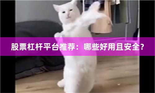 股票杠杆平台推荐：哪些好用且安全？